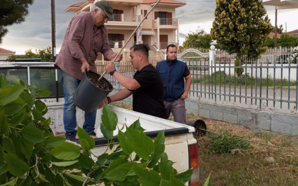 Δήμος Πολυγύρου: Δενδροφύτευση με τη συμβολή της νεολαίας Καλυβών