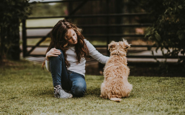 Πέλλα: 10χρονη σώθηκε τελευταία στιγμή από άγρια επίθεση αδέσποτου σκύλου - Παραιτήθηκε ο πατέρας της από το Δημοτικό Συμβούλιο