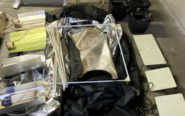 Θεσσαλονίκη: Εντοπίστηκε υδροπονική καλλιέργεια κάνναβης σε σπίτι 42χρονου (βίντεο)