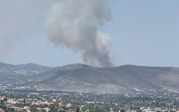 Μεγάλη φωτιά σε πευκοδάσος στον Μαραθώνα, εκκενώνονται περιοχές - Δείτε βίντεο