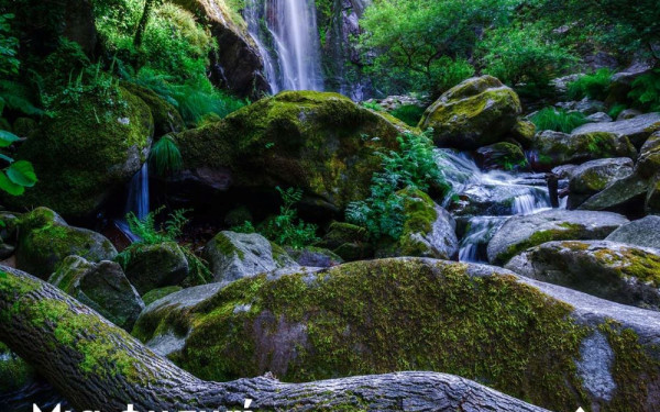 Δήμος Πολυγύρου: Ιαματικός Τουρισμός στις πηγές των Διουμπιών