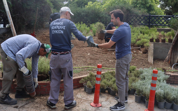 Δήμος Νεάπολης-Συκεών: Φυτεύσεις δένδρων, θάμνων και λουλουδιών σε διαφορετικές περιοχές