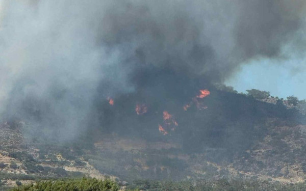 Φωτιά στην Ιεραπετρα: Σε πλήρη εξέλιξη και σε δύσκολες συνθήκες, λόγω ισχυρών ανέμων η κατάσβεση