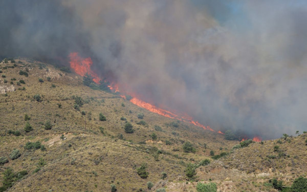 Συνελήφθη 30χρονη για την πυρκαγιά στη Βόρεια Χίο - Αποκάλυψε πώς προκάλεσε τη φωτιά
