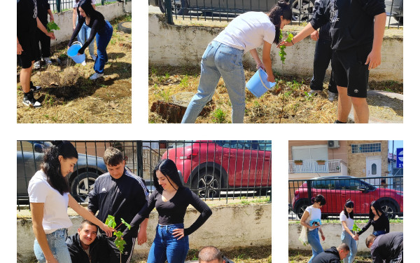 Θεσσαλονίκη: Γέμισαν με δέντρα τα σχολικά προαύλια του δήμου Βόλβης