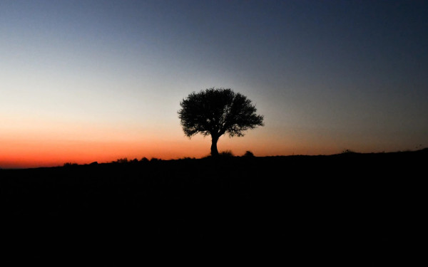 «Ένα Φεστιβάλ» στη Σαμοθράκη - Όλο το πρόγραμμα