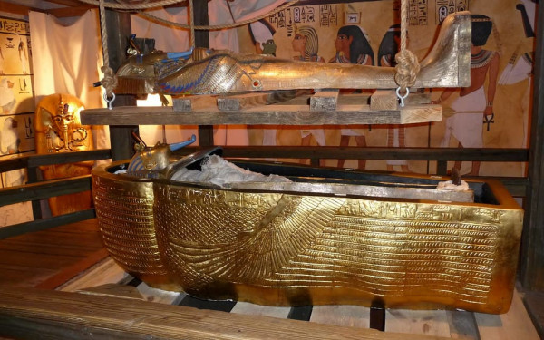 Τοξικός μύκητας της «κατάρας των Φαραώ» μετατρέπεται σε φάρμακο κατά της λευχαιμίας