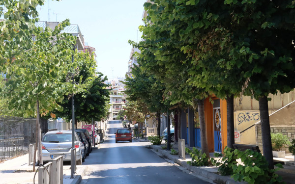 Ο δήμος Νεάπολης-Συκεών ενθαρρύνει κατοίκους να ποτίζουν τα δέντρα και τους θάμνους στη γειτονιά τους