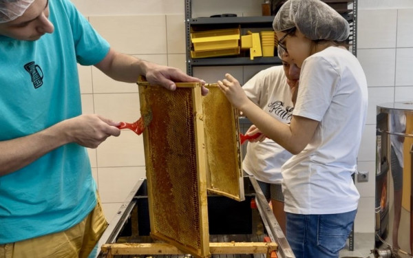 BeeAutism: Το πανεπιστήμιο Θεσσαλίας ενώνει την επιστήμη με την κοινωνική ευαισθησία και τον αυτισμό