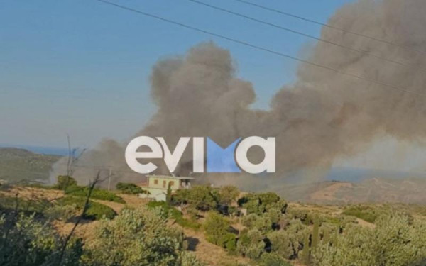 Μεγάλη φωτιά στην Εύβοια: Mήνυμα από το 112 - Κοντά σε σπίτια οι φλόγες (βίντεο)