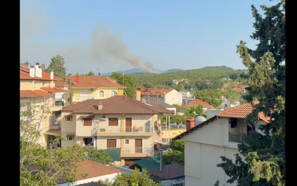 Θεσσαλονίκη: Υπό έλεγχο η φωτιά στο Φίλυρο - Ήχησε το 112 (βίντεο)