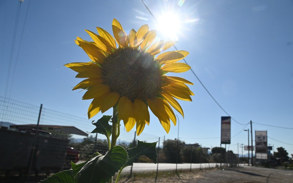 Αττική: Ο χειμώνας 2025-2026 ήταν ο 2ος θερμότερος και 3ος βροχερότερος στην ιστορία