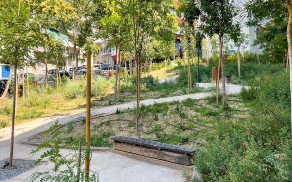 Θεσσαλονίκη: Έπεσαν τα πρώτα πρόστιμα για δολιοφθορές σε νεοφυτεμένα δέντρα του δήμου
