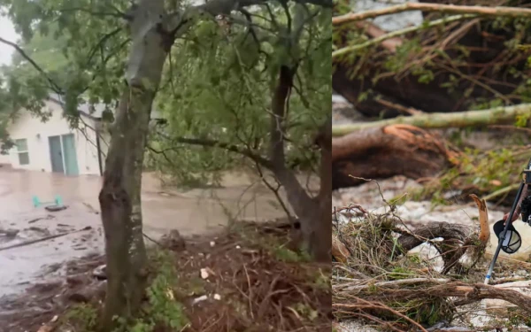 Βίντεο σοκ από τις πλημμύρες στο Τέξας: Το νερό παρασύρει ολόκληρο σπίτι - 68 νεκροί