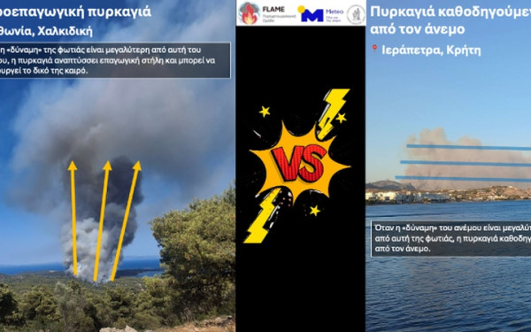 Πυρκαγιές σε Βουρβουρού Χαλκιδικής και Ιεράπετρα: Τα δύο πρόσωπα του ίδιου φαινομένου