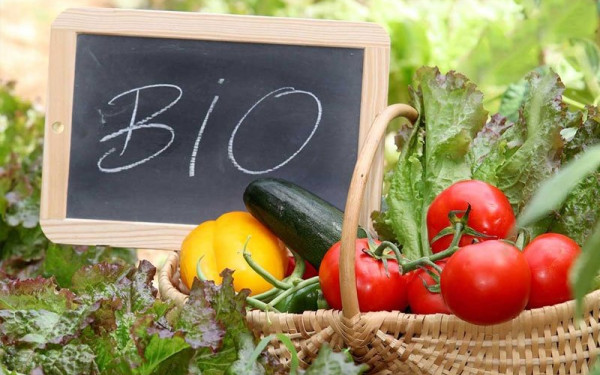 Πρώτη «καμπάνα» ΕΣΥΔ για τα «μαϊμού» βιολογικά προϊόντα - Αναστέλλεται η διαπίστευση φορέα για έξι μήνες