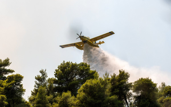 Φωτιά στην περιοχή Ποταμός Αλεξανδρούπολης