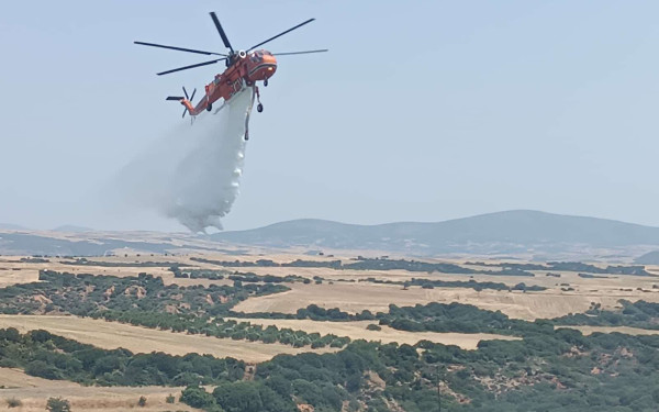 Ροδόπη: Οριοθετήθηκε η φωτιά στη Μελίταινα- Δεν απείλησε κατοικημένες περιοχές