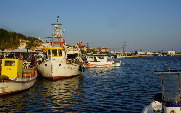 Χαλκιδική: Τριήμερο γεύσεων, μουσικής και τοπικής φιλοξενίας με τη Γιορτή Γαύρου στη Νέα Σκιώνη