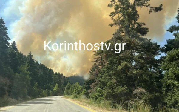 Κορινθία: Φωτιά σε δασική έκταση στον Φενεό - Μήνυμα 112 για εκκένωση προς Στυμφαλία