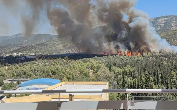 Πολυτεχνειούπολη: Υπό μερικό έλεγχο η πυρκαγιά - Συνεχίζει η πυροσβεστική για να σβήσουν όλες οι εστίες