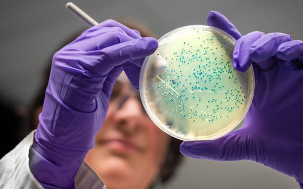 Επιστήμη: Μοντέλο τεχνητής νοημοσύνης δημιούργησε αντιβιοτικά για υπερανθεκτικά βακτήρια