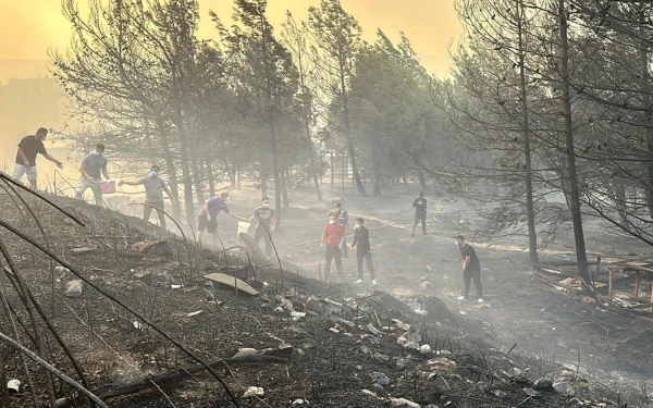 Φωτιές στην Τουρκία: Σε Εύβοια και Σποράδες έφτασε ο καπνός (βίντεο)
