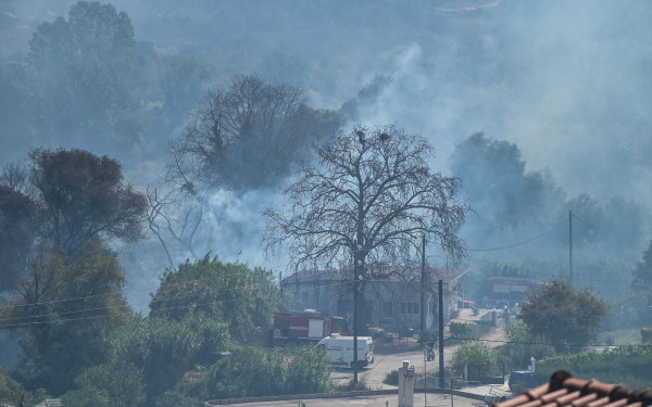 Χωρίς ενεργό μέτωπο η φωτιά στην Πρέβεζα
