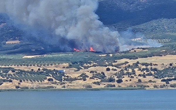 Θεσσαλονίκη: Χωρίς ενεργό μέτωπο η φωτιά στη Βόλβη