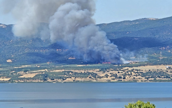 Φωτιά στη Μεγάλη Βόλβη: Mήνυμα του 112 στο Βαϊοχώρι για απομάκρυνση προς Νυμφόπετρα (βίντεο)
