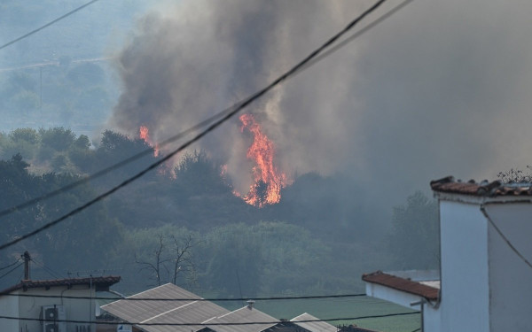 Πρέβεζα: Δέκα σπίτια κάηκαν μόνο στην Παντάνασσα - Φλέγεται το δάσος έξω από την Φιλιππιάδα (βίντεο)
