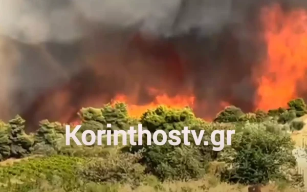Φωτιά σε δάσος στην Αρχαία Νεμέα - 112 για εκκένωση (βίντεο)
