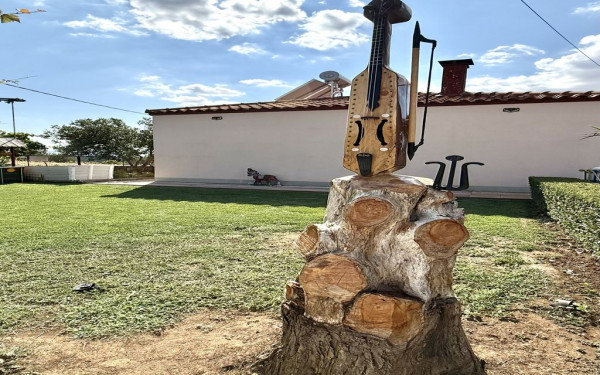 Ροδόπη: Πώς η ποντιακή λύρα δίνει δεύτερη ζωή σε ένα «πεθαμένο» δέντρο