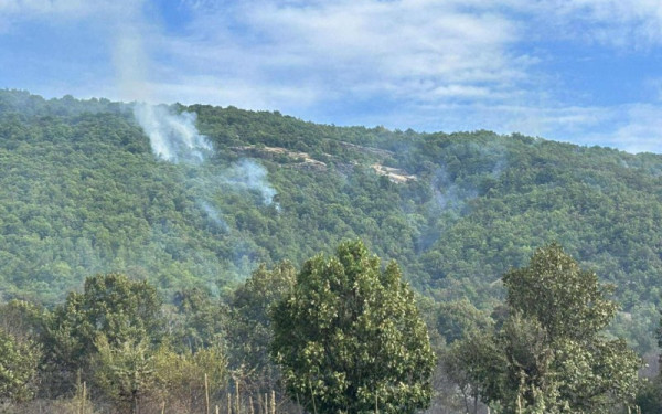 Οριοθετήθηκε η πυρκαγιά στο το Μακροχώρι Καστοριάς - Μάχη με διάσπαρτες εστίες σε δύσβατη περιοχή