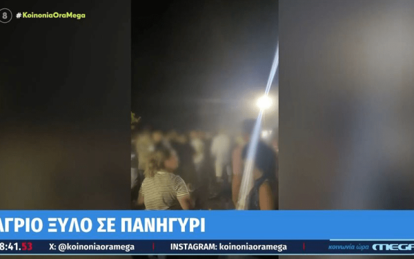 Η Γωγώ Τσαμπά «σταμάτησε» καυγά που ξέσπασε σε πανηγύρι στο Αγρίνιο (βίντεο)