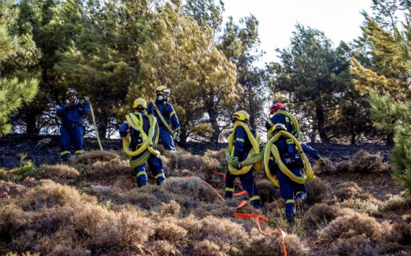 Πυρκαγιές: 5.000 πυροσβέστες και εθελοντές σε τιτάνια μάχη με τις φλόγες - «Είναι το πιο δύσκολο 24ωρο της αντιπυρικής περιόδου» Πυρκαγιές: 5.000 πυροσβέστες και εθελοντές σε τιτάνια μάχη με τις φλόγες - «Είναι το πιο δύσκολο 24ωρο της αντιπυρικής περιόδου»