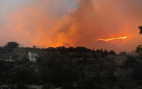 Φωτιές στην Αχαΐα: Στα χέρια της αστυνομίας τρία άτομα - 19χρονος ομολόγησε εμπρησμό στα Συχαινά