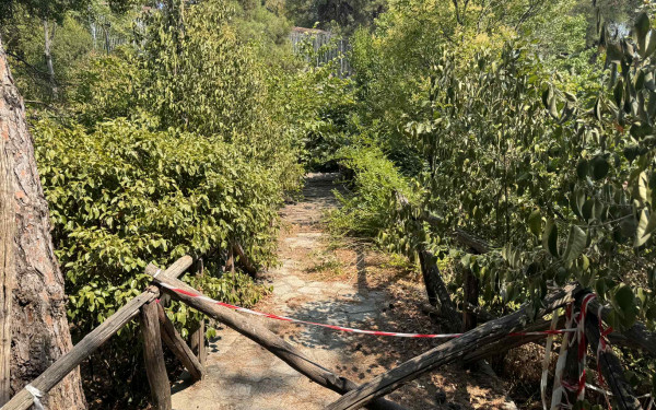 Θεσσαλονίκη: Lockdown στο ζωολογικό κήπο από το κρούσμα Βρουκέλλωσης - Οι πρώτες εκτιμήσεις και τι ακολουθεί