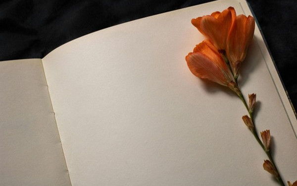 Βέροια: Η δημόσια βιβλιοθήκη καλεί τους πολίτες σε μια βραδιά χαλάρωσης του σώματος και επαφής με τα βιβλία