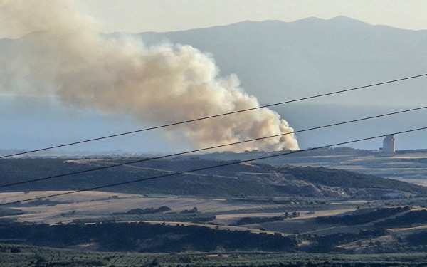 Χαλκιδική: Υπό μερικό έλεγχο η φωτιά στη Νέα Τρίγλια