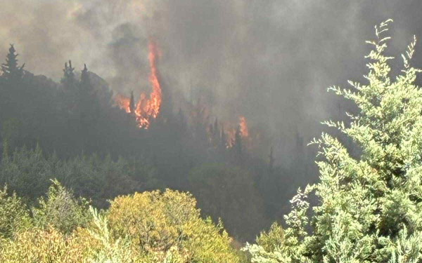 Μεσσηνία: Σε ύφεση η φωτιά στον Άγιο Ισίδωρο Κορώνης - Κινητοποιήθηκαν ισχυρές επίγειες και εναέριες δυνάμεις