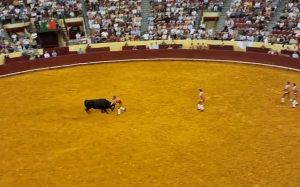 Τραγωδία στη Λισαβόνα: 22χρονος προκάλεσε ταύρο και σκοτώθηκε σε αρένα