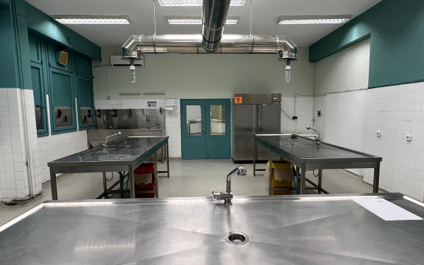 Οι κορυφαίοι Πτηνοπαθολόγοι της Ευρώπης έρχονται στη Θεσσαλονίκη