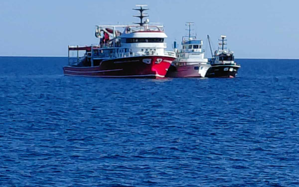 Ελληνοτουρκικό επεισόδιο - «Κραυγή» αγανάκτησης Ελλήνων ψαράδων: «Αν είχαμε άλλη σημαία στα σκάφη μας θα ήταν καλύτερα»