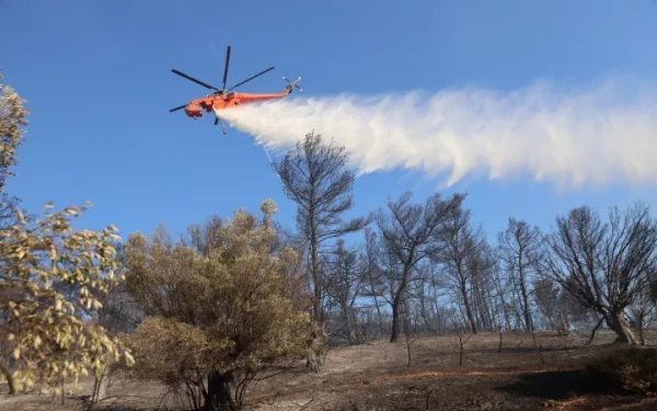 Φωτιά στην Παλαιόπολη Άνδρου - Ήχησε το 112 για ετοιμότητα