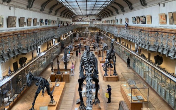 «Ληστεία - μαμούθ» στο Παρίσι: Έκλεψαν 600.000 ευρώ σε χρυσό από το Εθνικό Μουσείο Φυσικής Ιστορίας