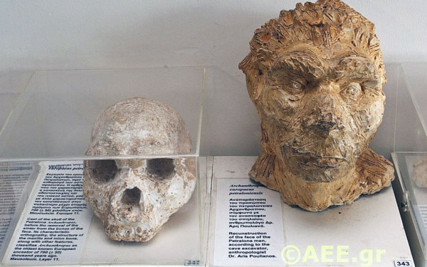 ΑΠΘ: Επιστημονική κόντρα για τον «Άνθρωπο των Πετραλώνων»