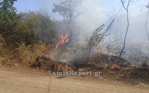 Φωτιά στα Καμένα Βούρλα - Επιχειρούν ισχυρές πυροσβεστικές δυνάμεις