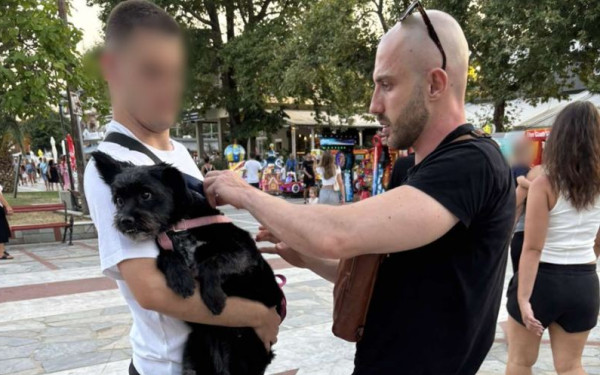 Θεσσαλονίκη: «Τσουχτερά» πρόστιμα για κηδεμόνες κατοικίδιων τον Σεπτέμβριο – Σαφάρι ελέγχων από την Αστυνομία