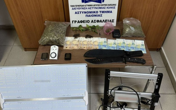 Φυτείες κάνναβης σε αυλές και «καβάτζες» – Τρεις συλλήψεις σε Πέλλα και Θεσσαλονίκη